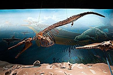 探索传统节气奥秘 绘本风游戏《四季之春》蒸汽平台现已上线